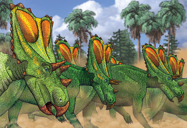 Travel Action Artwork